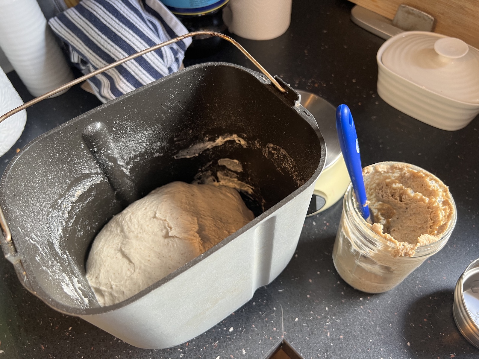 starter with mixed dough in bucket